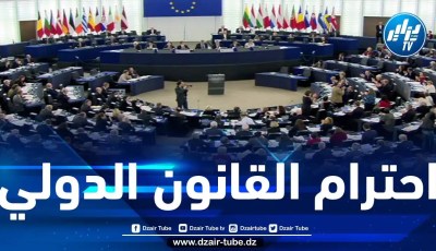 البرلمان الأوروبي يطالب الدول الأعضاء بالدعم المبدئي للاعتراف بالدولة الفلسطينية
