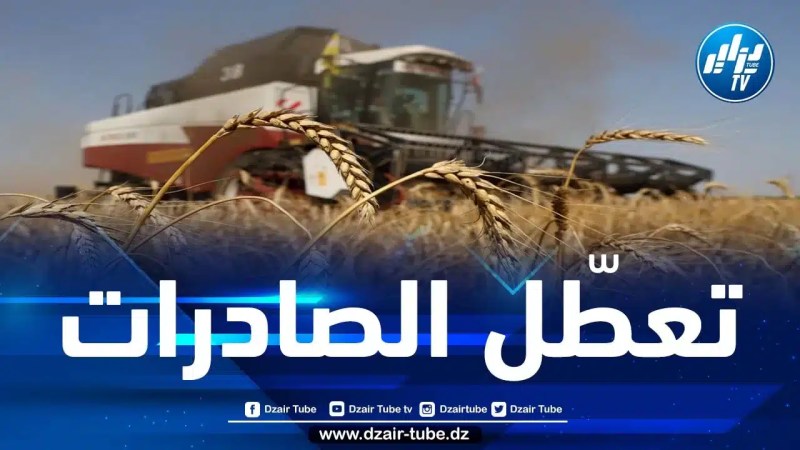 أسعار القمح تقفز مع إعلان روسيا انسحابها من اتفاق تصدير الحبوب في البحر الأسود