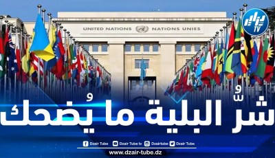 على العالم أن يوقف هذه المهزلة.. المغرب يسعى لترؤس مجلس حقوق الإنسان الأممي رغم ملفّه الأسود