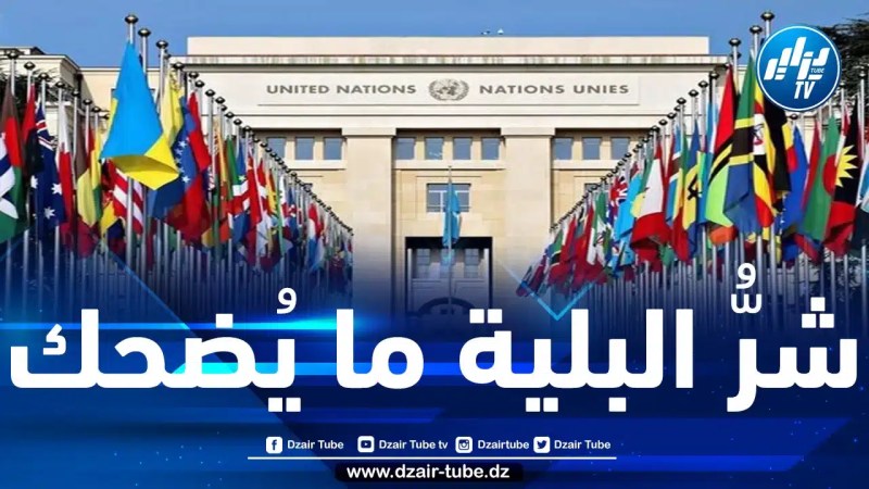 على العالم أن يوقف هذه المهزلة.. المغرب يسعى لترؤس مجلس حقوق الإنسان الأممي رغم ملفّه الأسود