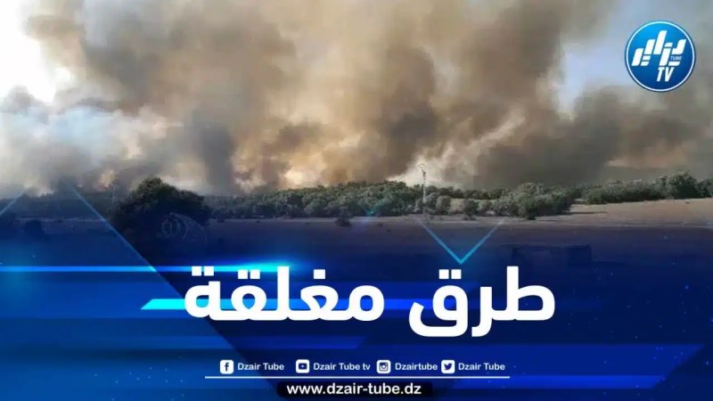حرائق الغابات تتسبب في غلق هذه الطرق