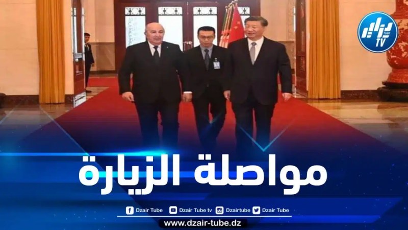 الرئيس تبون يلتقي رئيس اللجنة الدائمة للمجلس الوطني الصيني
