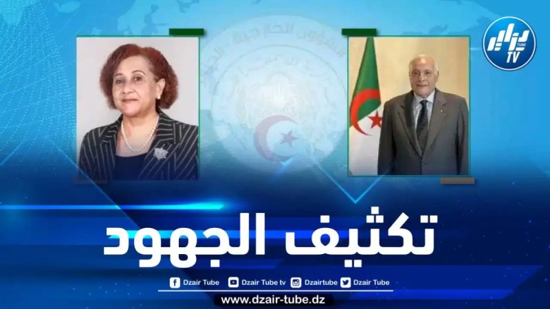 وزير الخارجية يتلقى اتصالا هاتفيا من نظيرته التنزانية