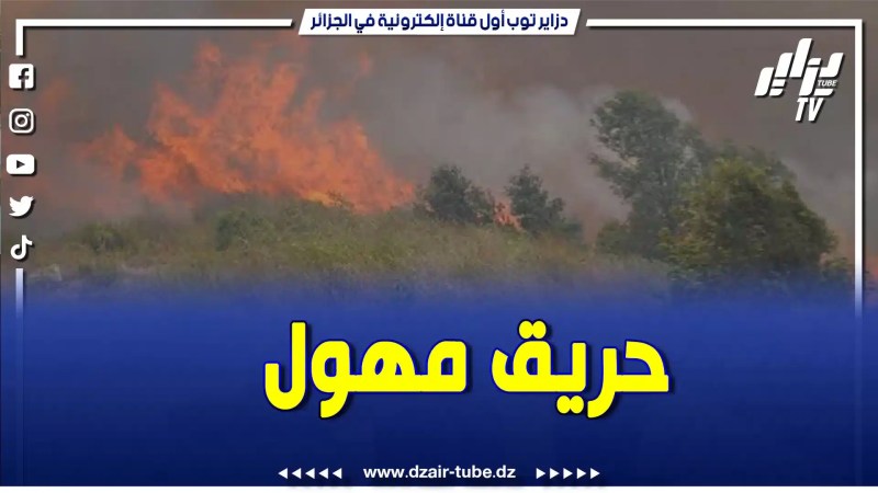 بالفيديو: النار دايرة حالة بأعالي بلدية القصر بولاية بجاية