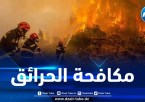 هذه هي الإجراءات الاستعجالية للوقاية من حرائق الغابات