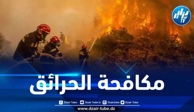هذه هي الإجراءات الاستعجالية للوقاية من حرائق الغابات