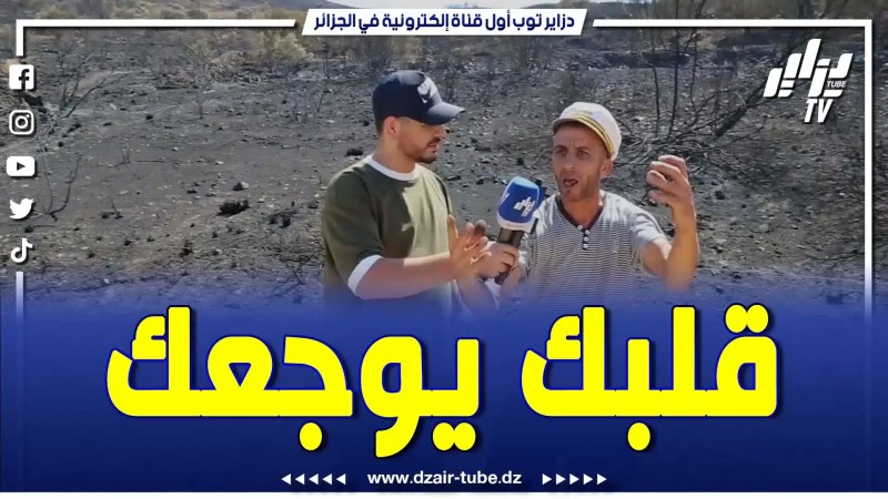 بالفيديو: حقائق صادمة من قلب حرائق الغابات.. دزاير توب تزور المتضررين وترصد تصريحات مؤثرة