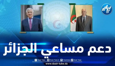 إيطاليا تدعم مبادرة الرئيس تبون في تغليب الحل السياسي بالنيجر