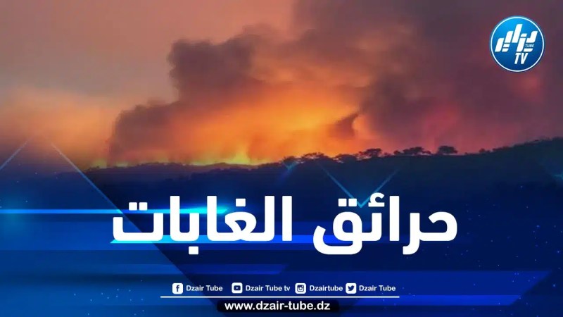 نشوب عدد من حرائق الغابات بهذه الولايات