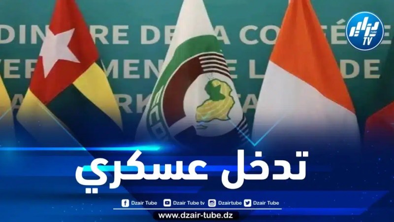 بعد أسابيع من الإنقلاب… إيكواس تضع النيجر تحت رحمة البندقية