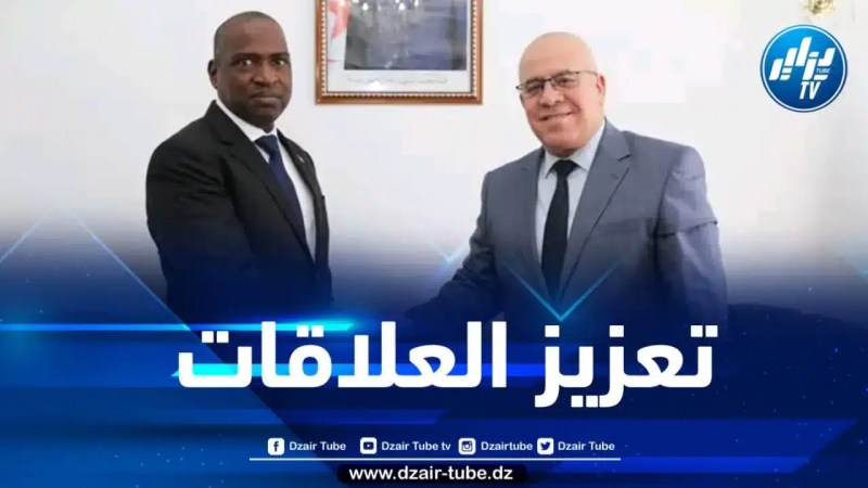 مباحثات جزائرية غينية في مجال النقل