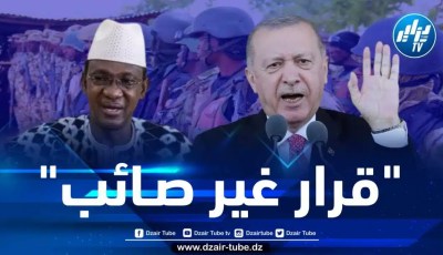 إيكواس على أهبة الإستعداد للتدخل عسكريا في النيجر… تركيا ومالي تحذران