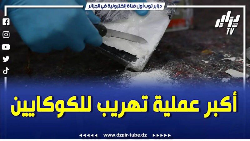 إحباط واحدة من أكبر عمليات تهريب للكوكاين في تاريخ الجزائر. فيديو غرافيك يشرح تفاصيل قصة هذا البارون