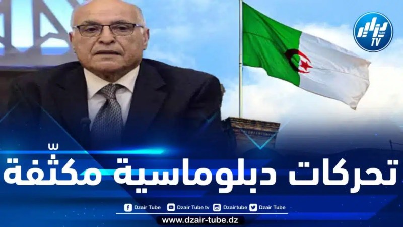 تحركات دبلوماسية جزائرية مكثّفة لتجنيب النيجر ويلات التدخل العسكري