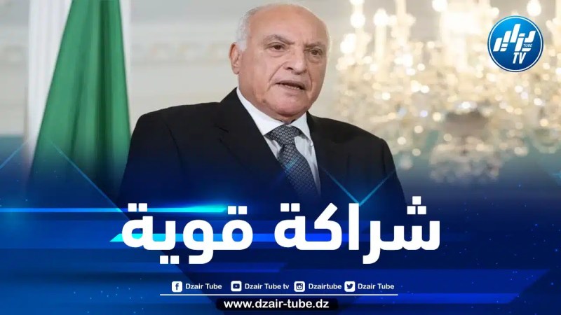وزير الخارجية يكشف عن تقدم المفاوضات لتجديد عقد تموين تركيا بالغاز