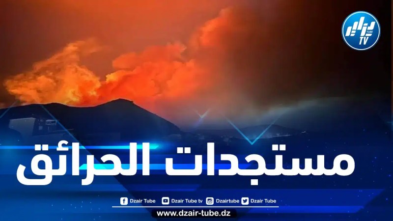 إخماد 37 حريق غابة بـ 10 ولايات