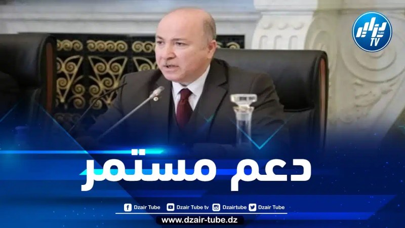 الوزير الأول: الجزائر مستعدة لتعزيز العمل العربي المشترك