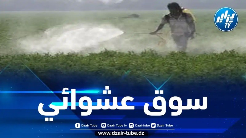 صحة المستهلك المغربي في خطر… مبيدات فلاحية ضارة تغزو الأسواق المغربية تغزو الأسواق