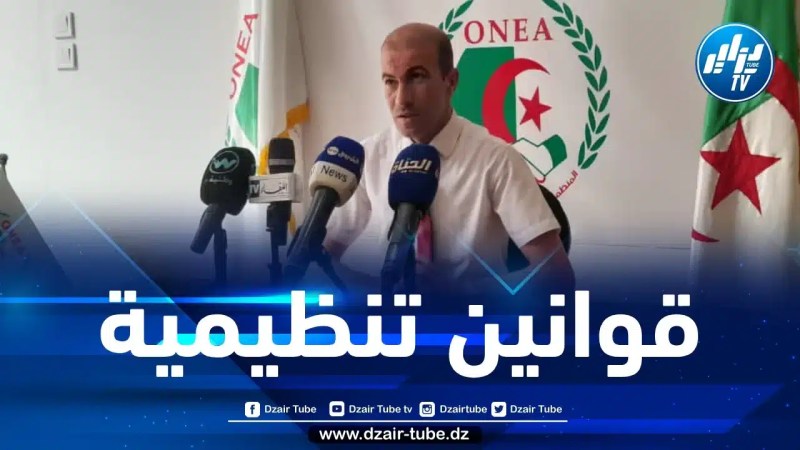 روباين : من الضروري سن قانون خاص بالتجارة الإلكترونية لتنظيم العشوائية 