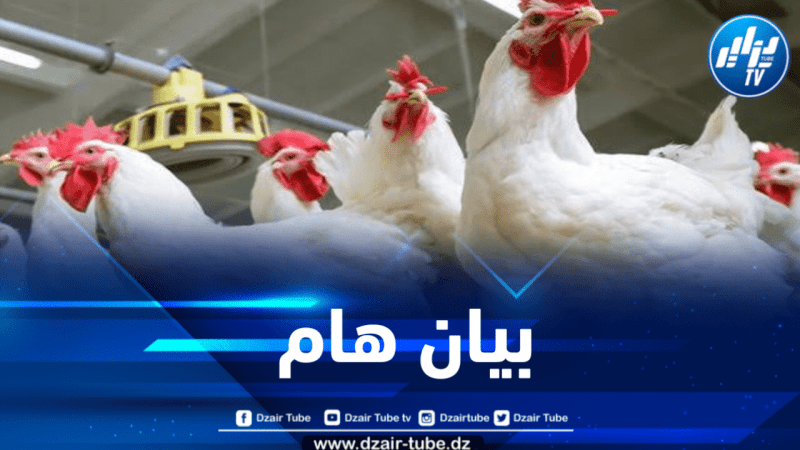 وزارة الفلاحة تصدر بياناً بخصوص شعبة الدواجن