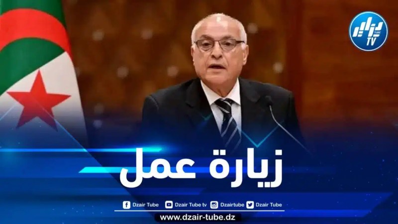 بتكليف من رئيس الجمهورية… وزير الخارجية يشرع في زيارة عمل إلى تركيا 