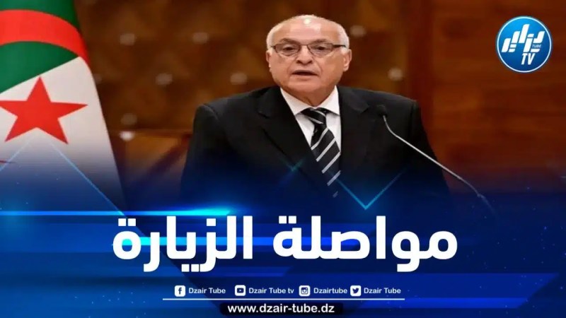 وزير الخارجية يلتقي ممثلين عن الجالية الوطنية بالمجر 
