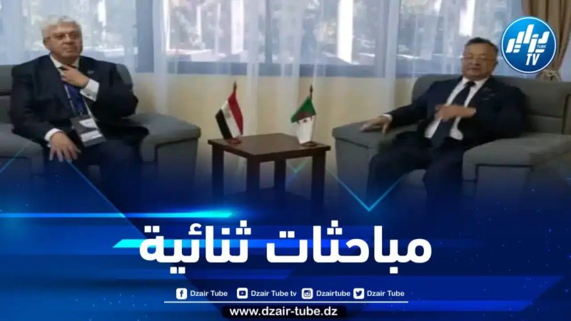 مباحثات جزائرية-مصرية في مجال التعليم العالي