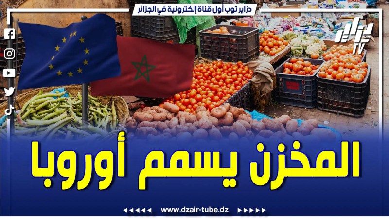 الم.خزن حب يرهج الأوروبيين.. منتجاته الفلاحية تشكل خطرا على صحة الاروبيين لاحتوائها على بقايا سامة