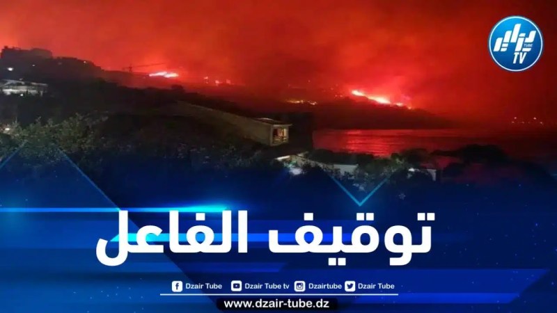 الدرك الوطني يوقف الشخص المتسبب في حرائق غابة بوليماط ببجاية