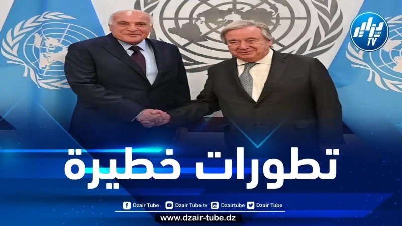 القضية الفلسطينية محور لقاء جمع وزير الخارجية بالأمين العام الأممي