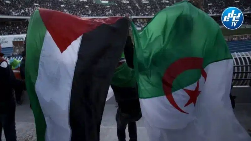 الأندية الجزائرية تعبر عن تضامنها مع الشعبي الفلسطيني