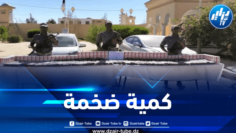 الوادي : حجز أزيد من 133 ألف قرص مهلوس بأسطيل