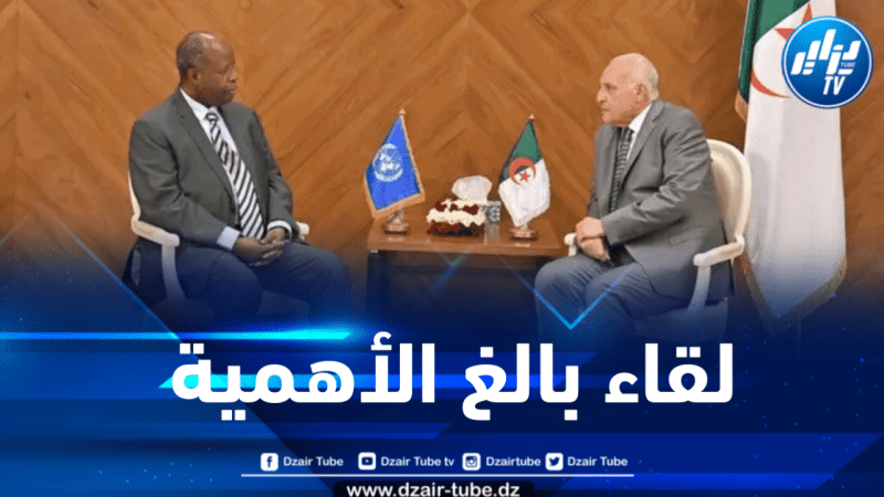 وزير الخارجية يتباحث مع مسؤول أممي سامٍ سبل حل أزمتي مالي والنيجر 