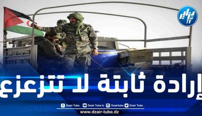 وحدة الشعب الصحراوي أساس مقاومته ضدّ الاحتلال المخزني