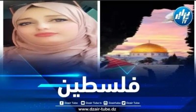 فلسطين والضمير الإنساني / بقلم هاجر ميموني