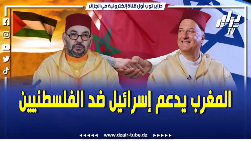 بالفيديو: شوفو معانا واض راهي صاري .. يحاولون إستفزاز الجزائر