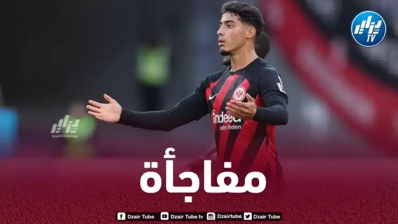 موقع ألماني ينتقد شايبي