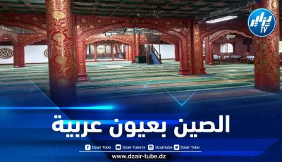 الصين بعيون عربية… بقلم محمد الحبيب