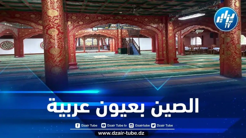 الصين بعيون عربية… بقلم محمد الحبيب