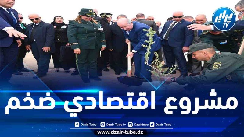 الجزائر تعيد إطلاق مشروع السد الأخضر العملاق
