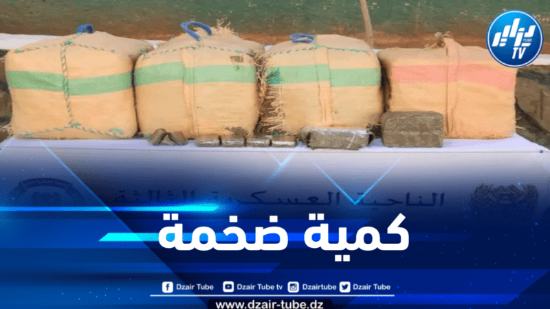إحباط محاولات إدخال أزيد من 07 قناطير من الكيف المعالج عبر الحدود مع المغرب 