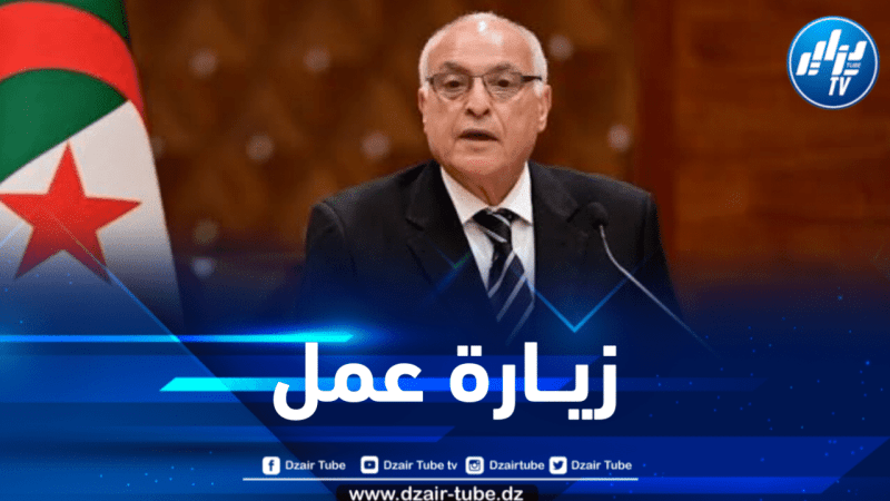 عطاف يحل بغينيا الاستوائية لتمثيل رئيس الجمهورية في القمة الـ 05 لمجموعة العشرة التابعة للاتحاد الافريقي