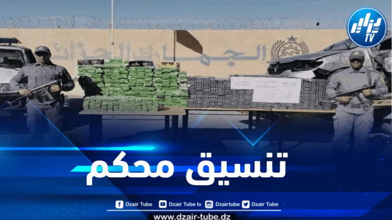 تبسة: حجز 7400 علبة سجائر أجنبية الصنع 