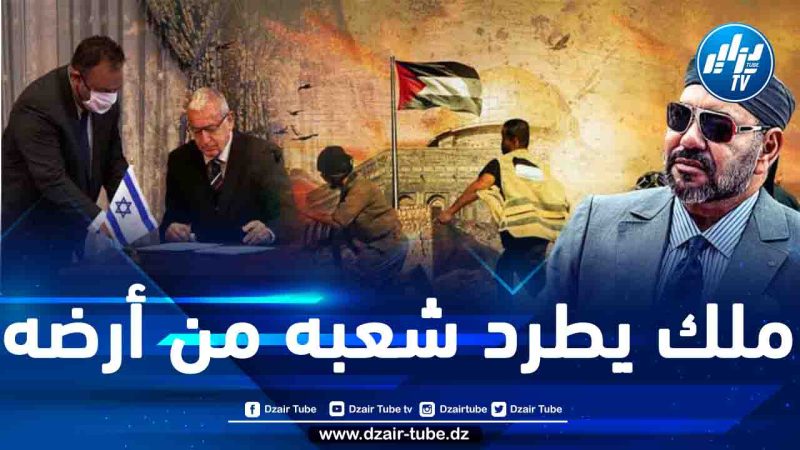 سذاجة شعب ينتظر من ملكه أن يدافع عن الفلسطينيين المهجّرين وهو يطرده من أرضه ويبيعها للصهاينة المغاربة فمتى ينتفض أصحاب الأرض؟!
