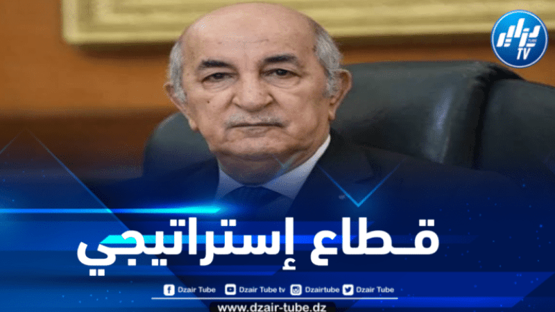الرئيس تبون: قطاع المناجم من القطاعات الاستراتيجية في الجزائر