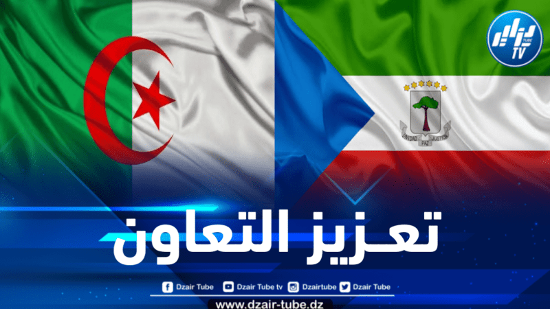 نحو تأسيس لجنة مشتركة جزائرية – غينية للتعاون الاقتصادي 