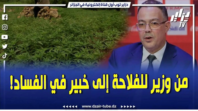 فيديو دزاير توب: من وزير للفلاحة ينتج الحشيش والقنب الهندي .. إلى المعاملات المشبوهة بوزارة المالية