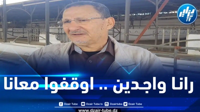 بوعديس لدزاير توب: إلغاء الضريبة الجمركية على المربين يساهم في انخفاض أسعار اللحوم