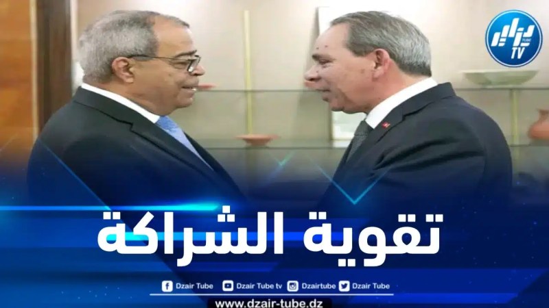 وزير الصناعة يحظى بإستقبال من طرف رئيس الحكومة التونسي 