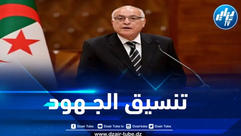 عطاف: الجزائر ستكرس عهدتها المقبلة بمجلس الأمن بالتنسيق التام مع الشركاء الأفارقة